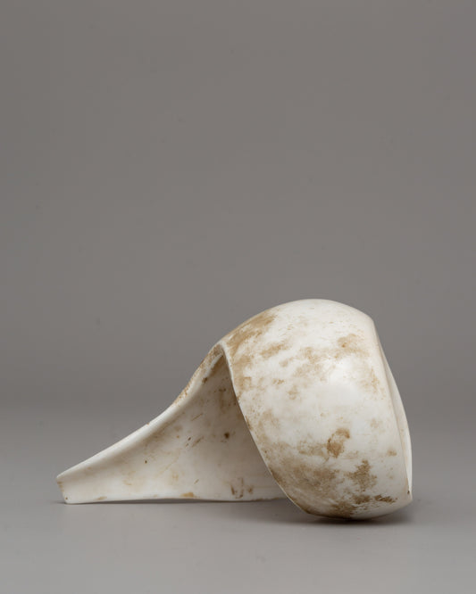 Conch Shell Buddhist Bangel | Symbol of Mindful Living and Spiritual Devotion