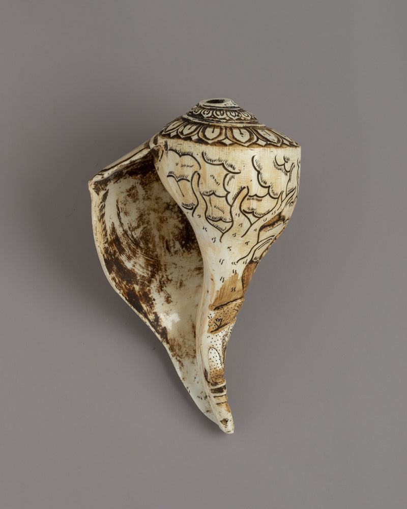 Hand-carved Conch (Sankha) | Buddhist and Hindu Ritual Tool for Blessings