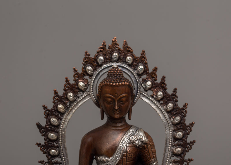 Healing Deity Medicine Buddha Statue | Bhaisajyaguru Holding Myrobalan Plant