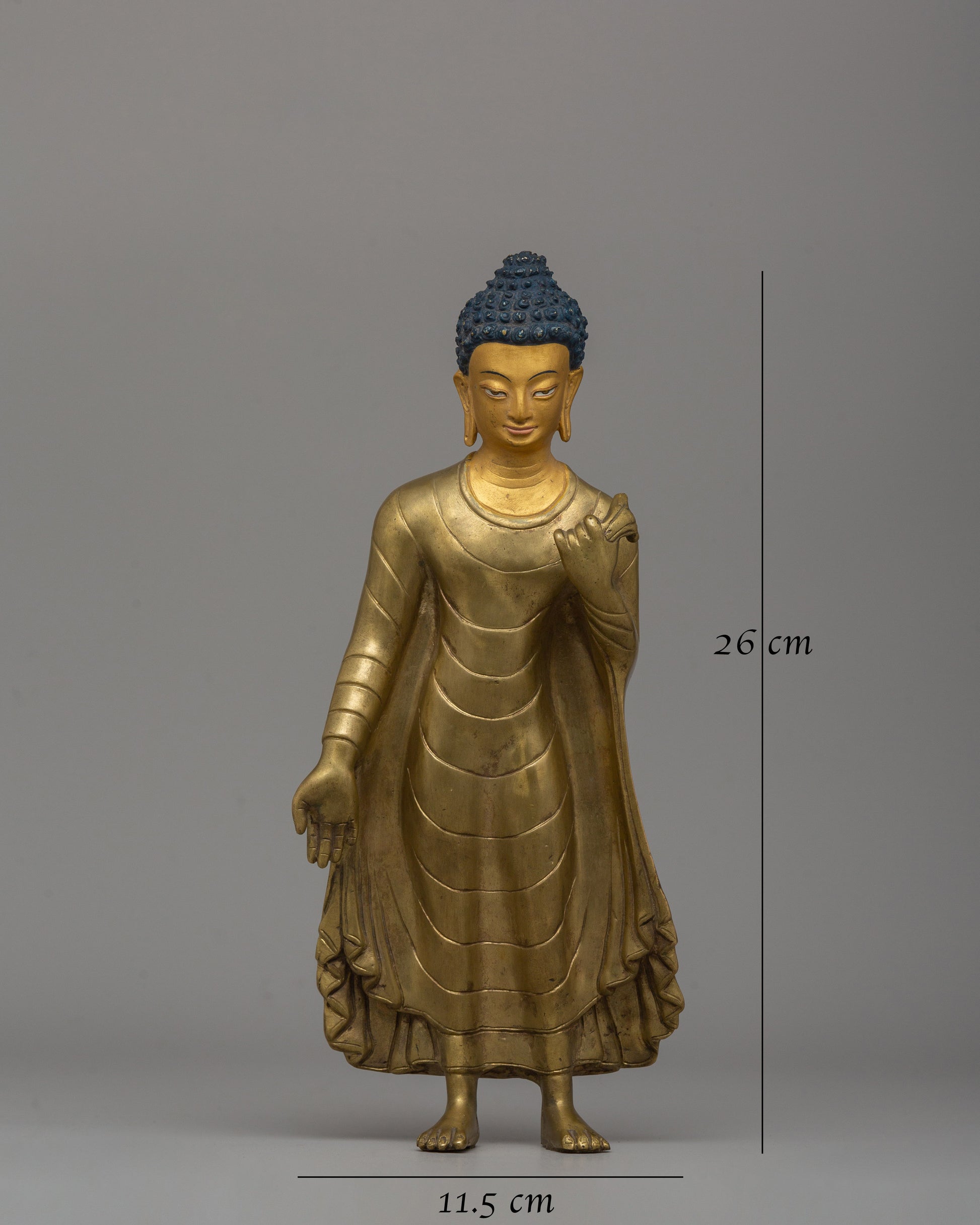 Standing Dipankar Buddha Statue