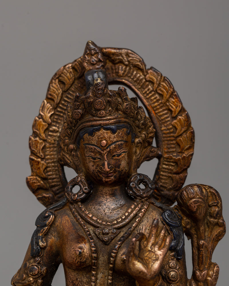 40 Years Old Green Tara | Symbol of Spiritual Protection & Devotion