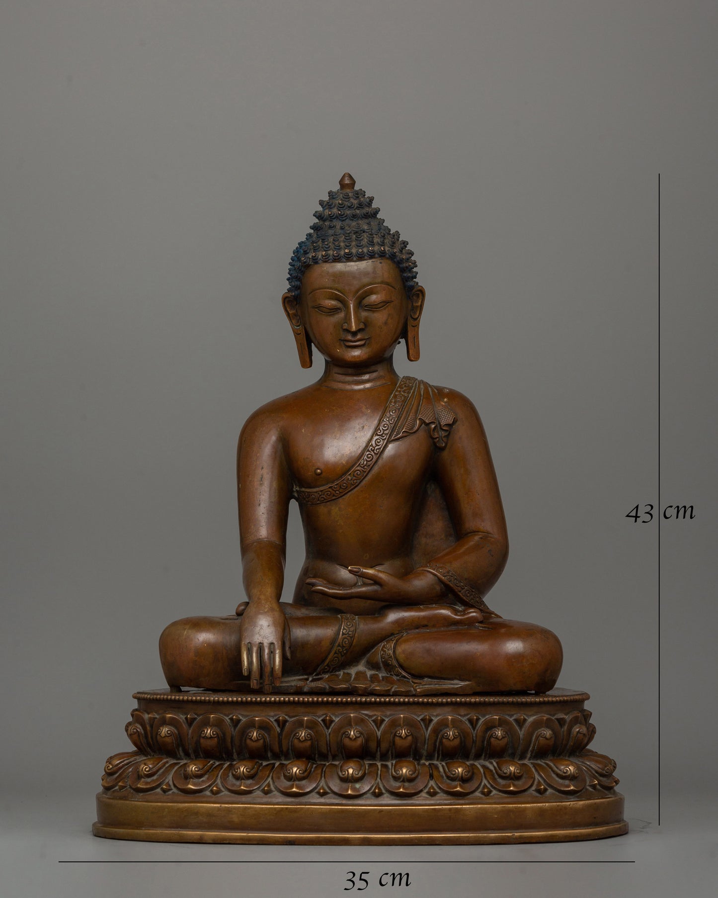 Enlightened Shakyamuni Buddha | The Supreme Teacher