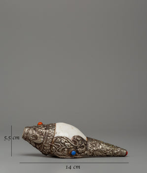 Tibetan Conch for Altar | A Symbol of Awakening