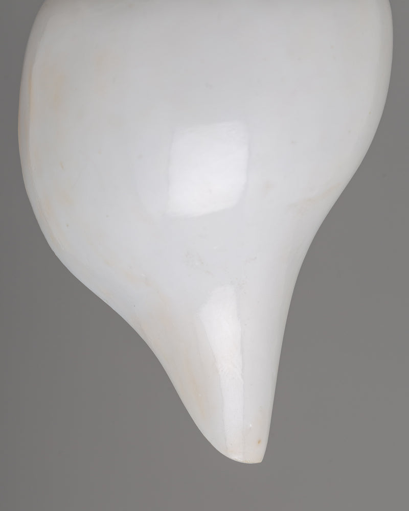 Sacred Conch Shell for Rituals | Buddhist Shankha