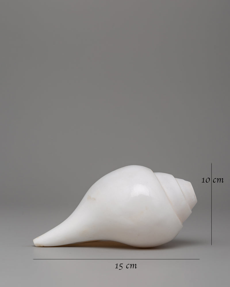 Sacred Conch Shell for Rituals | Buddhist Shankha