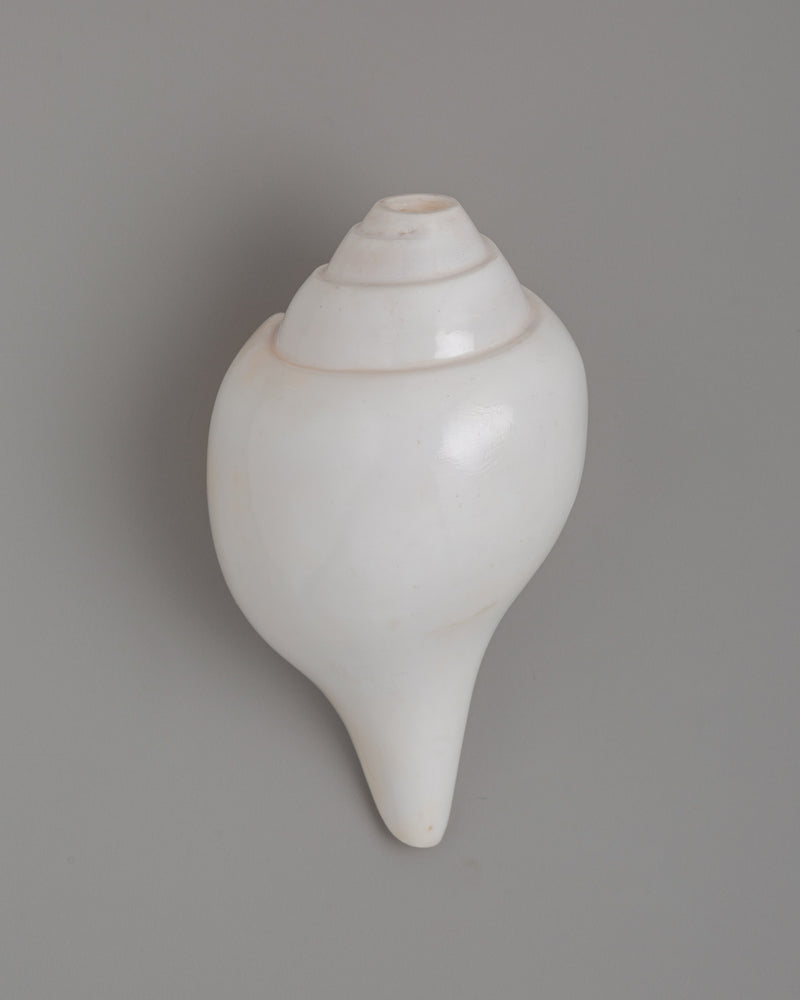 Sacred Conch Shell for Rituals | Buddhist Shankha