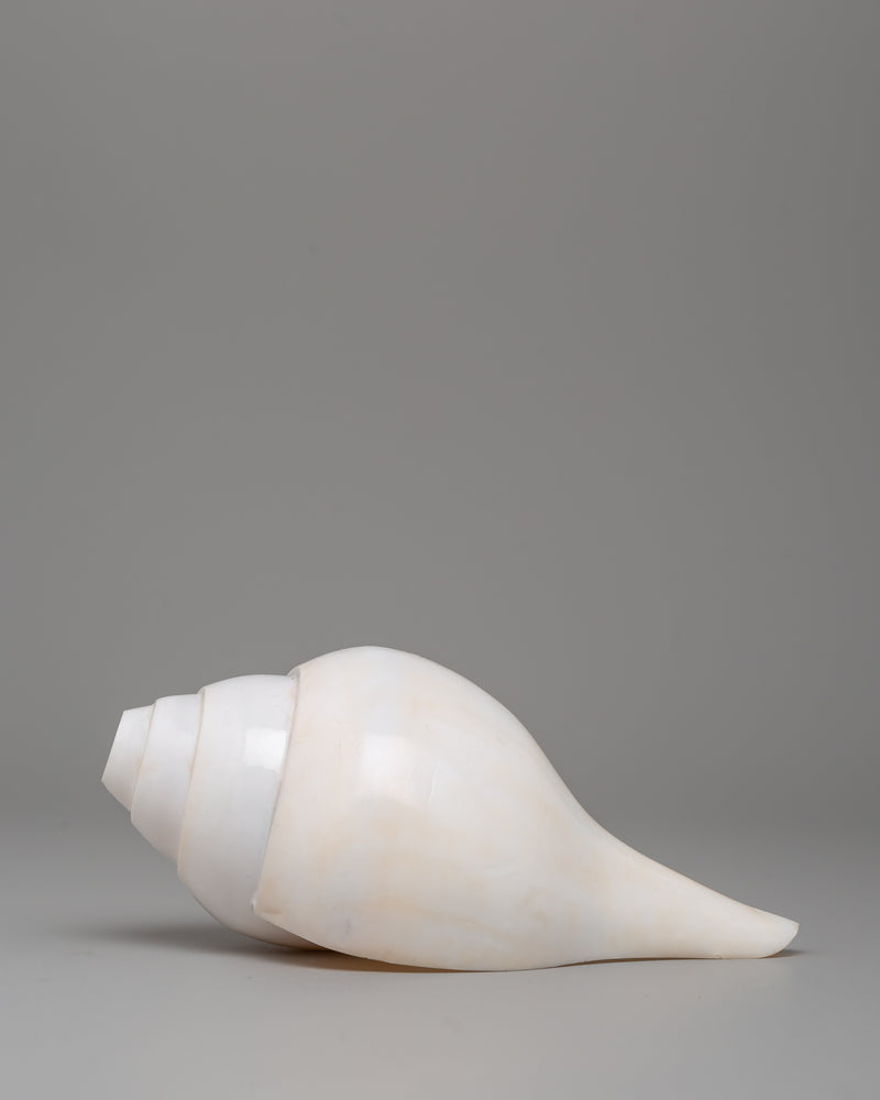 Sacred Conch Shell Art | A Symbol of Divine Energy