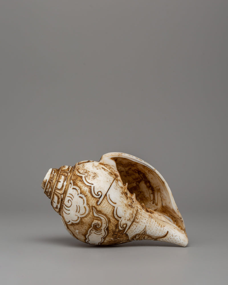 Conch Shell Shankha for Shrine | A Divine Ritual Artifact