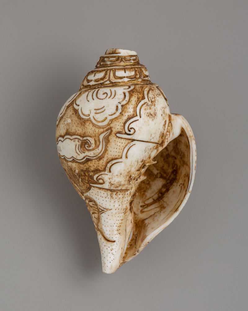 Conch Shell Shankha for Shrine | A Divine Ritual Artifact