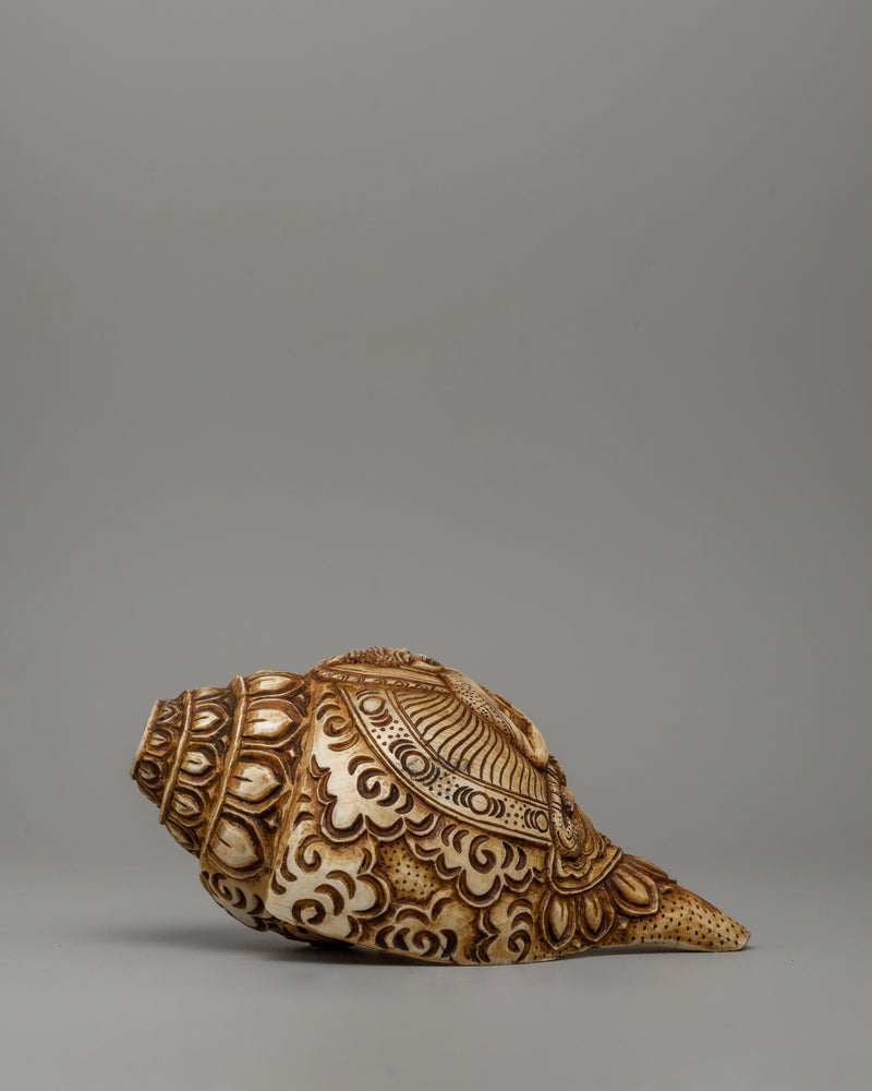 Conch Shell with Buddha Carvings | A Sacred Ritual Artifact