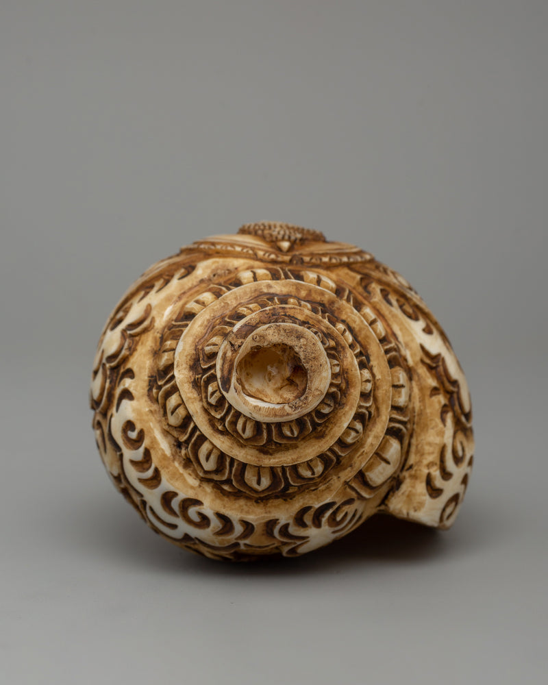 Conch Shell with Buddha Carvings | A Sacred Ritual Artifact