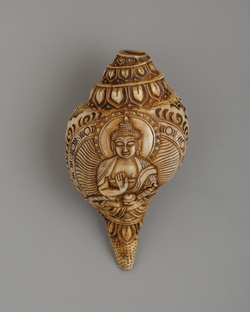 Conch Shell with Buddha Carvings | A Sacred Ritual Artifact