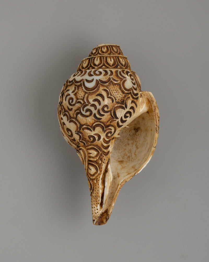 Conch Shell with Buddha Carvings | A Sacred Ritual Artifact