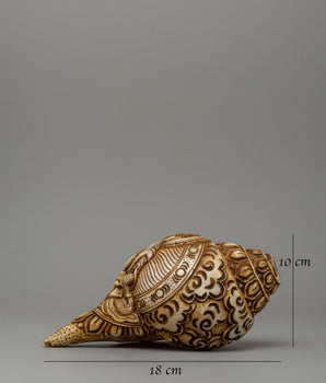 Conch Shell with Buddha Carvings | A Sacred Ritual Artifact