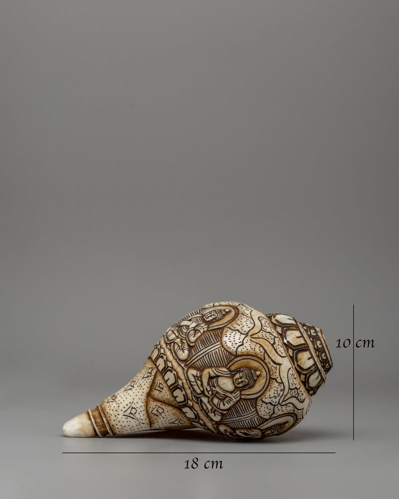 Hand-Carved Conch Shell | A Sacred Shankha for Rituals &amp; Meditation