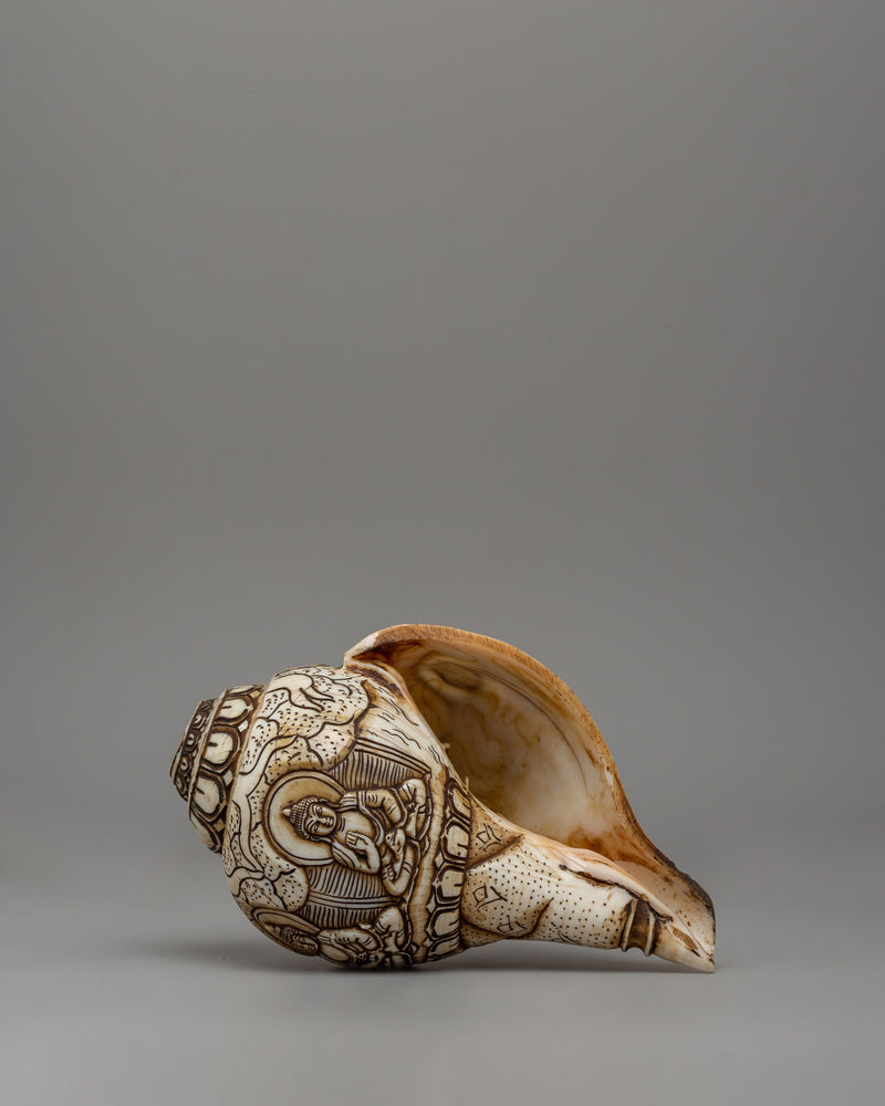 Hand-Carved Conch Shell | A Sacred Shankha for Rituals &amp; Meditation