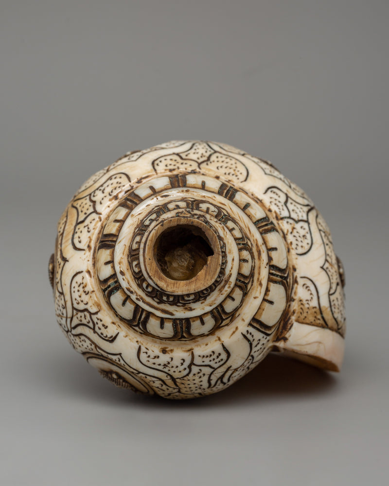 Hand-Carved Conch Shell | A Sacred Shankha for Rituals &amp; Meditation