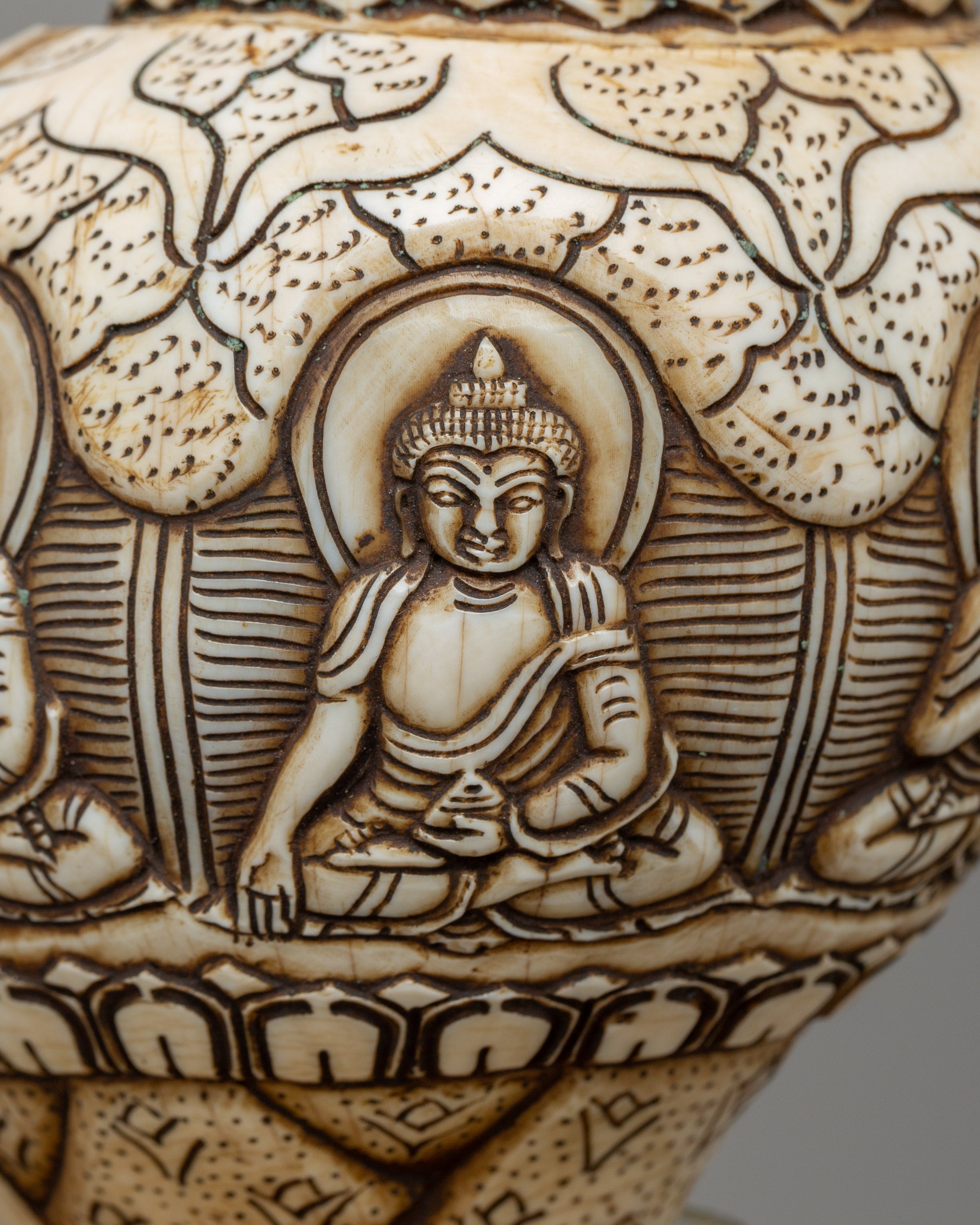 Hand-Carved Conch Shell | A Sacred Shankha for Rituals &amp; Meditation