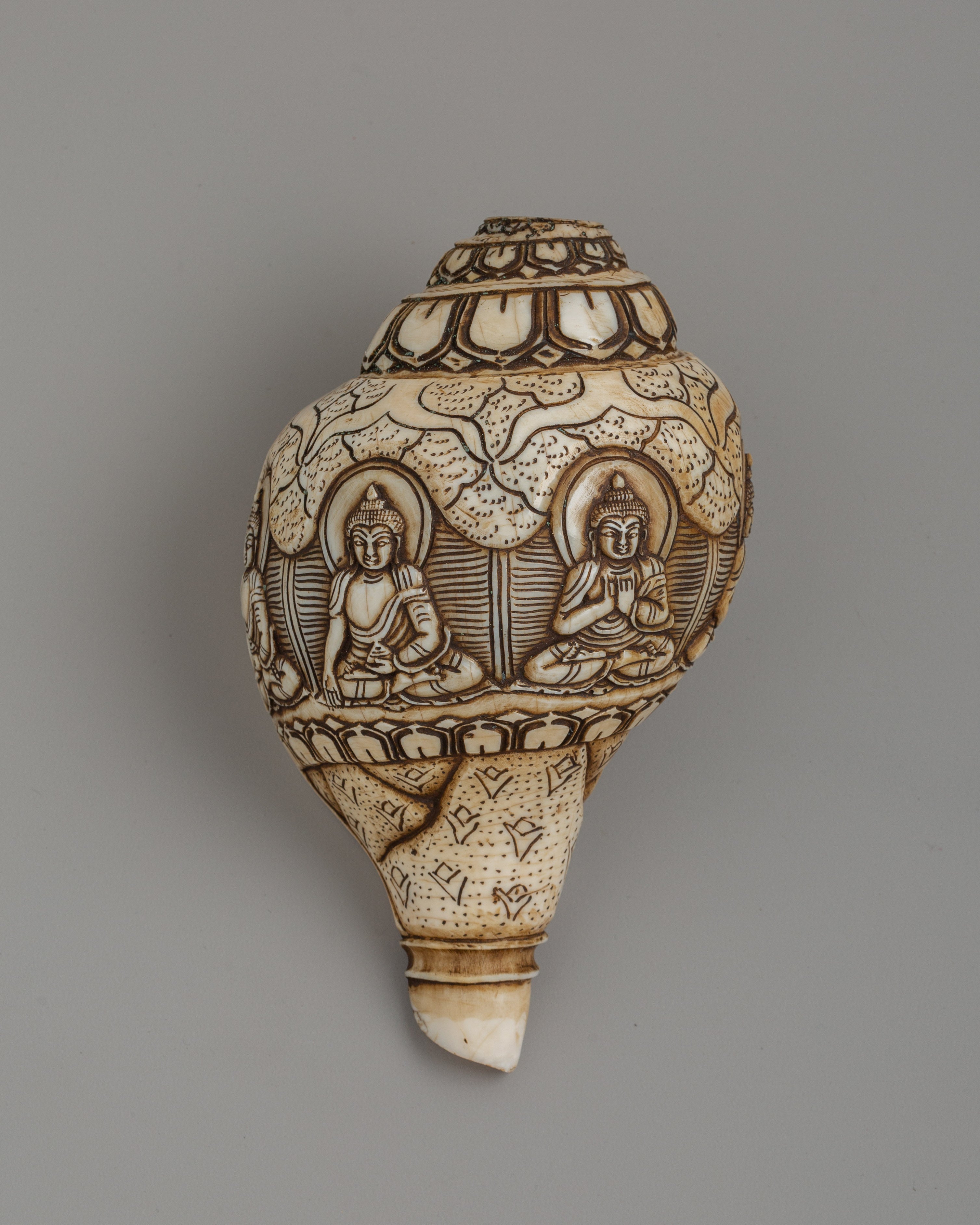 Hand-Carved Conch Shell | A Sacred Shankha for Rituals &amp; Meditation
