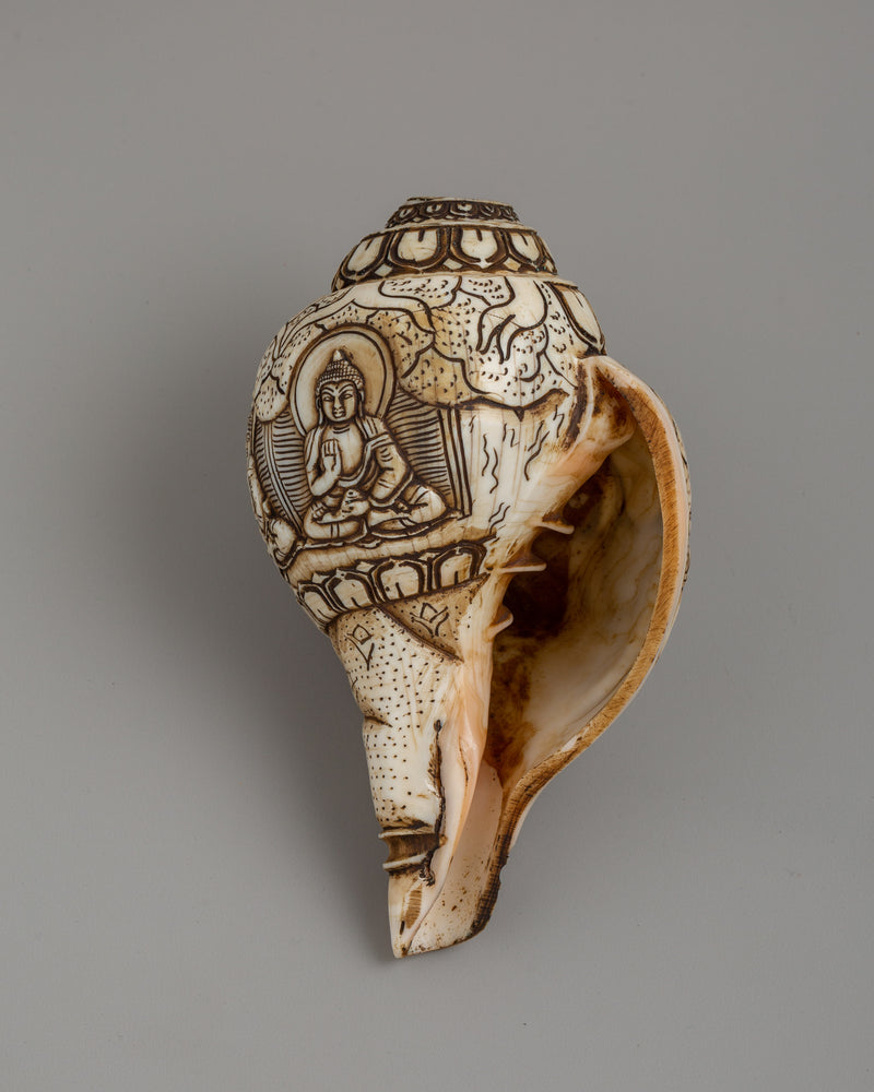 Hand-Carved Conch Shell | A Sacred Shankha for Rituals &amp; Meditation