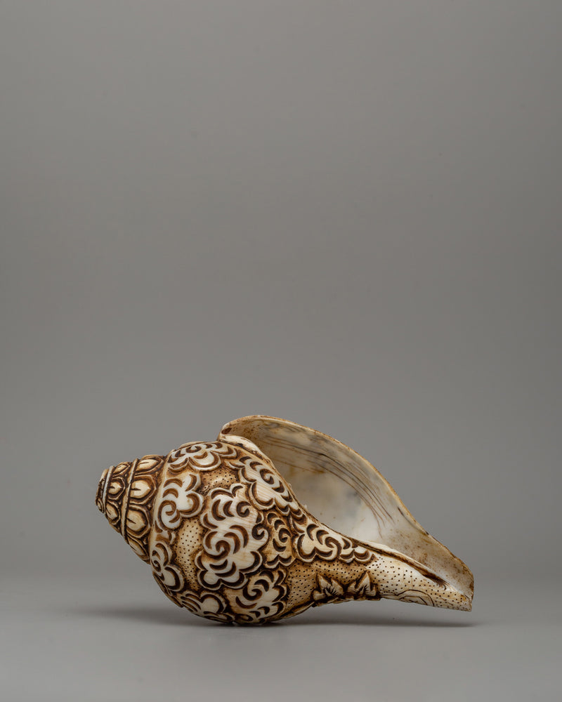 Sacred Hand-Carved  Conch Shell | Shankha for Rituals & Meditation