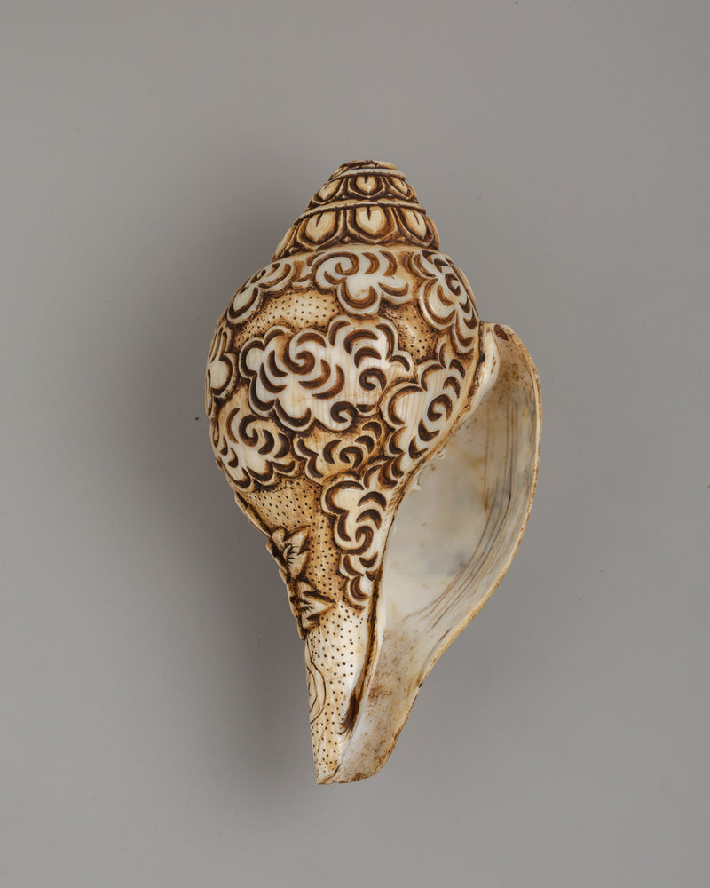 Sacred Hand-Carved  Conch Shell | Shankha for Rituals & Meditation