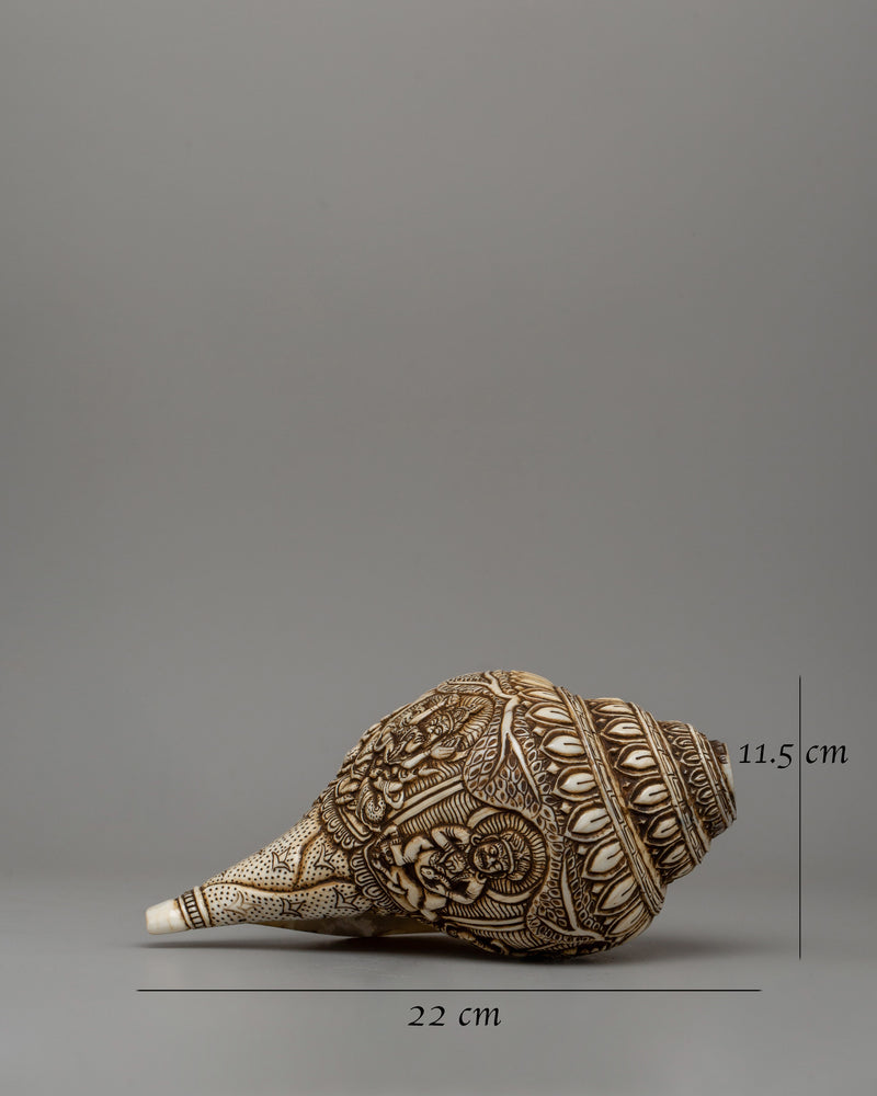 Beautifull Conch Shell | Sacred Shankha for Puja &amp; Meditation