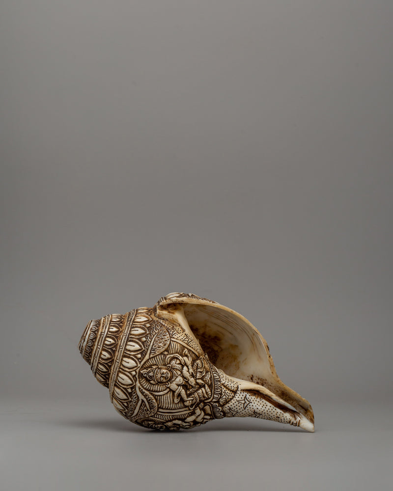 Beautifull Conch Shell | Sacred Shankha for Puja &amp; Meditation