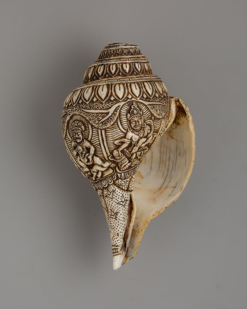 Beautifull Conch Shell | Sacred Shankha for Puja &amp; Meditation