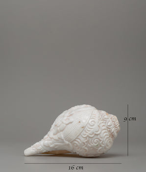 Religious Tibetan Conch Shell | Buddhist Offering Shell