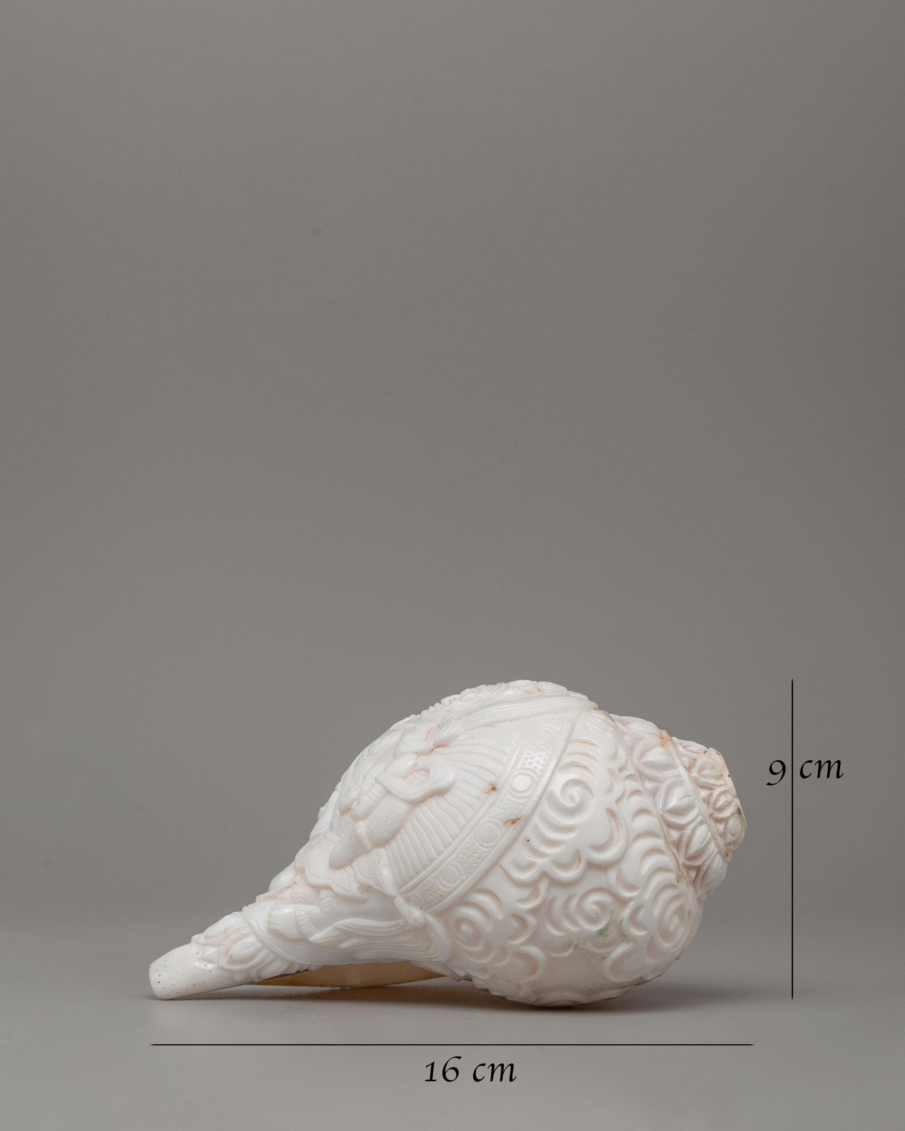 Religious Tibetan Conch Shell | Buddhist Offering Shell