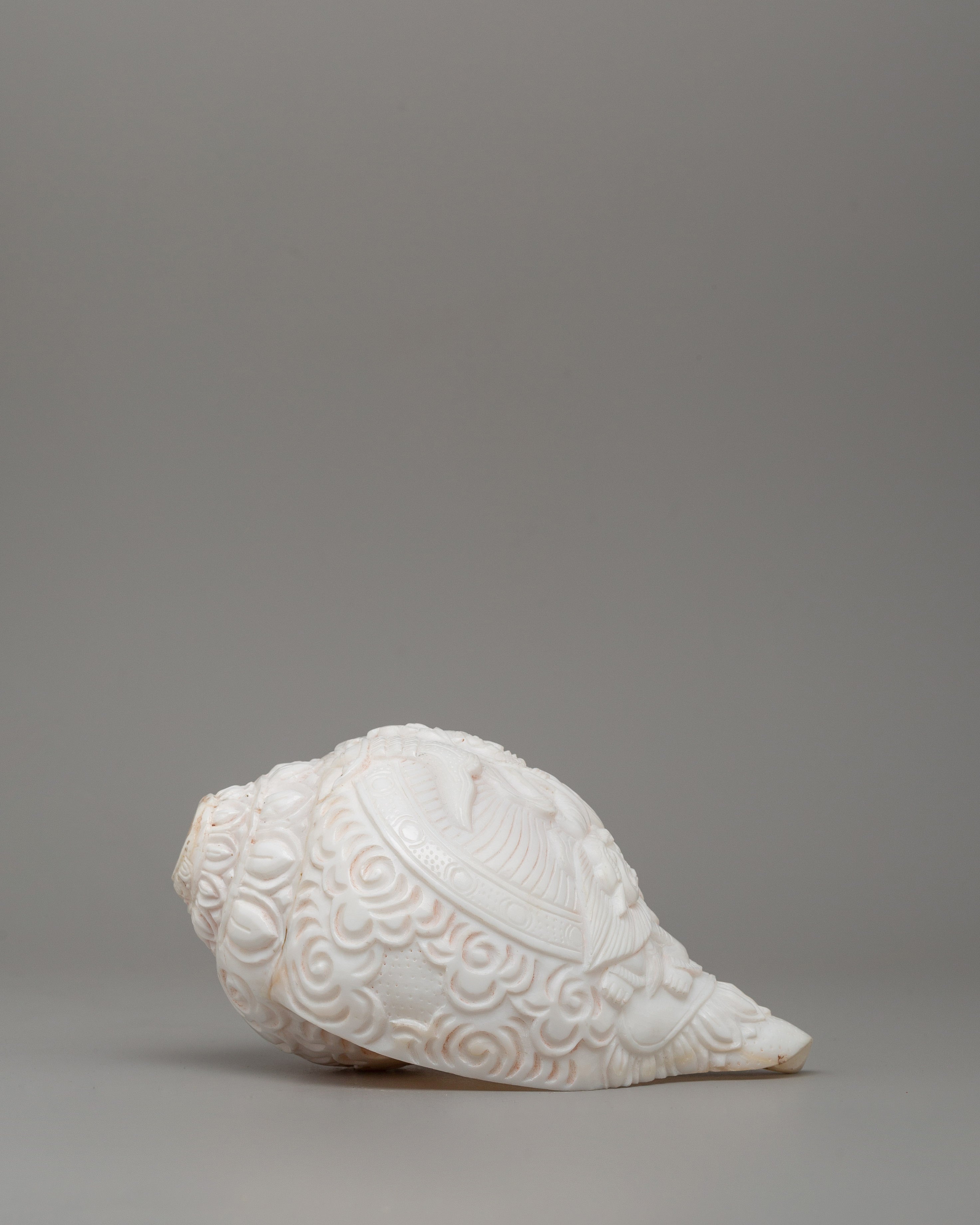 Religious Tibetan Conch Shell | Buddhist Offering Shell