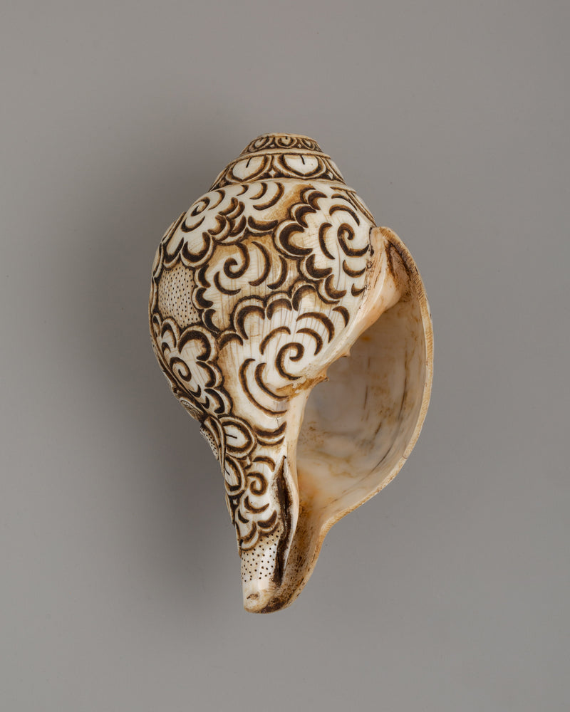 Conch Shell with White Tara Carvings | A Divine Ritual Artifact