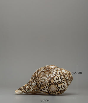 Conch Shell with White Tara Carvings | A Divine Ritual Artifact