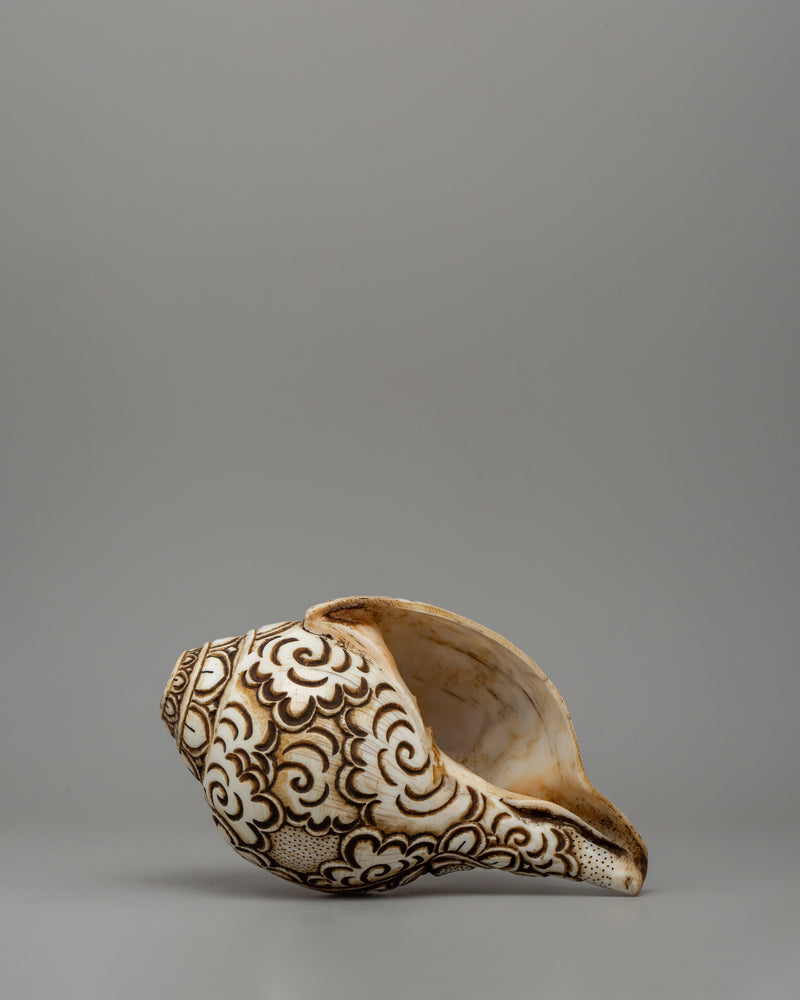 Conch Shell with White Tara Carvings | A Divine Ritual Artifact