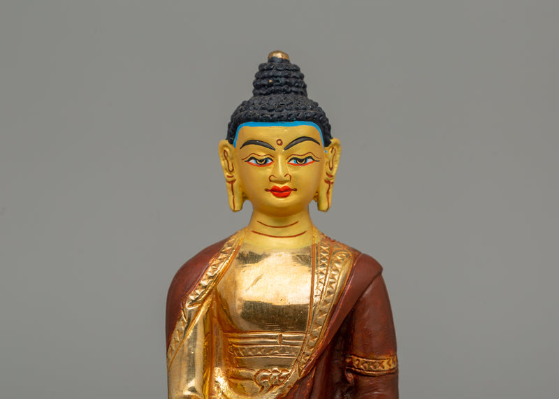 Dharma Teacher Shakyamuni Buddha | A Symbol of Wisdom