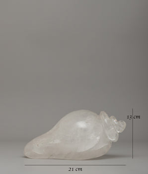 Buddhist Ritual Instrument Conch | Sacred Symbol of Awakening & Purification