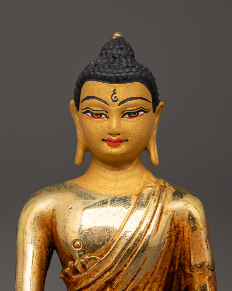 Shakyamuni Buddha in Bhumisparsha Mudra | A Symbol of Enlightenment