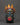 Kali Mask Wall Decor | Handcrafted Wooden Sacred Mask