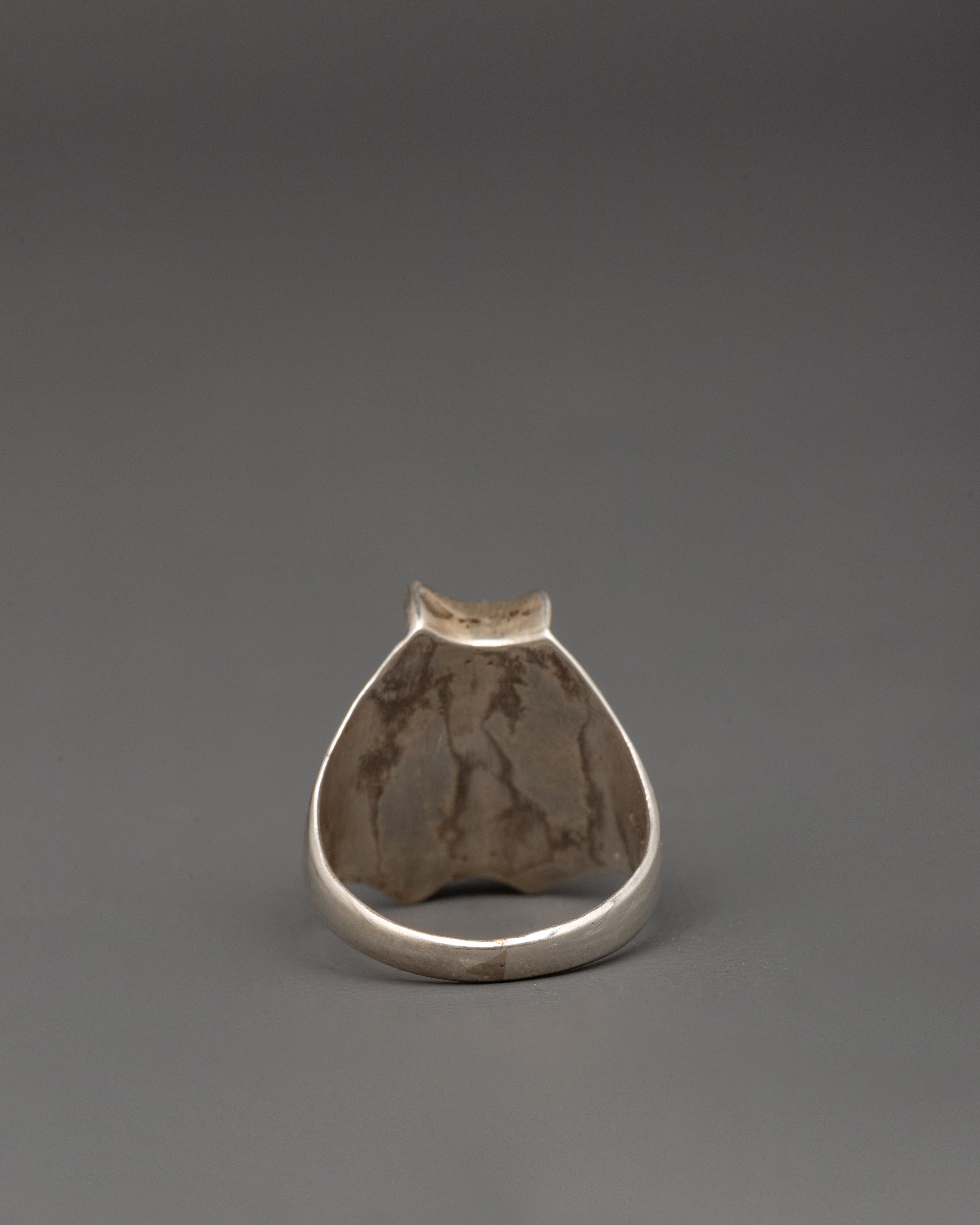 Silver Ring for Accessory | Jewelry for Daily Wear