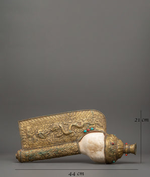 Traditional Ritual Conch | A Sacred Symbol of Dharma