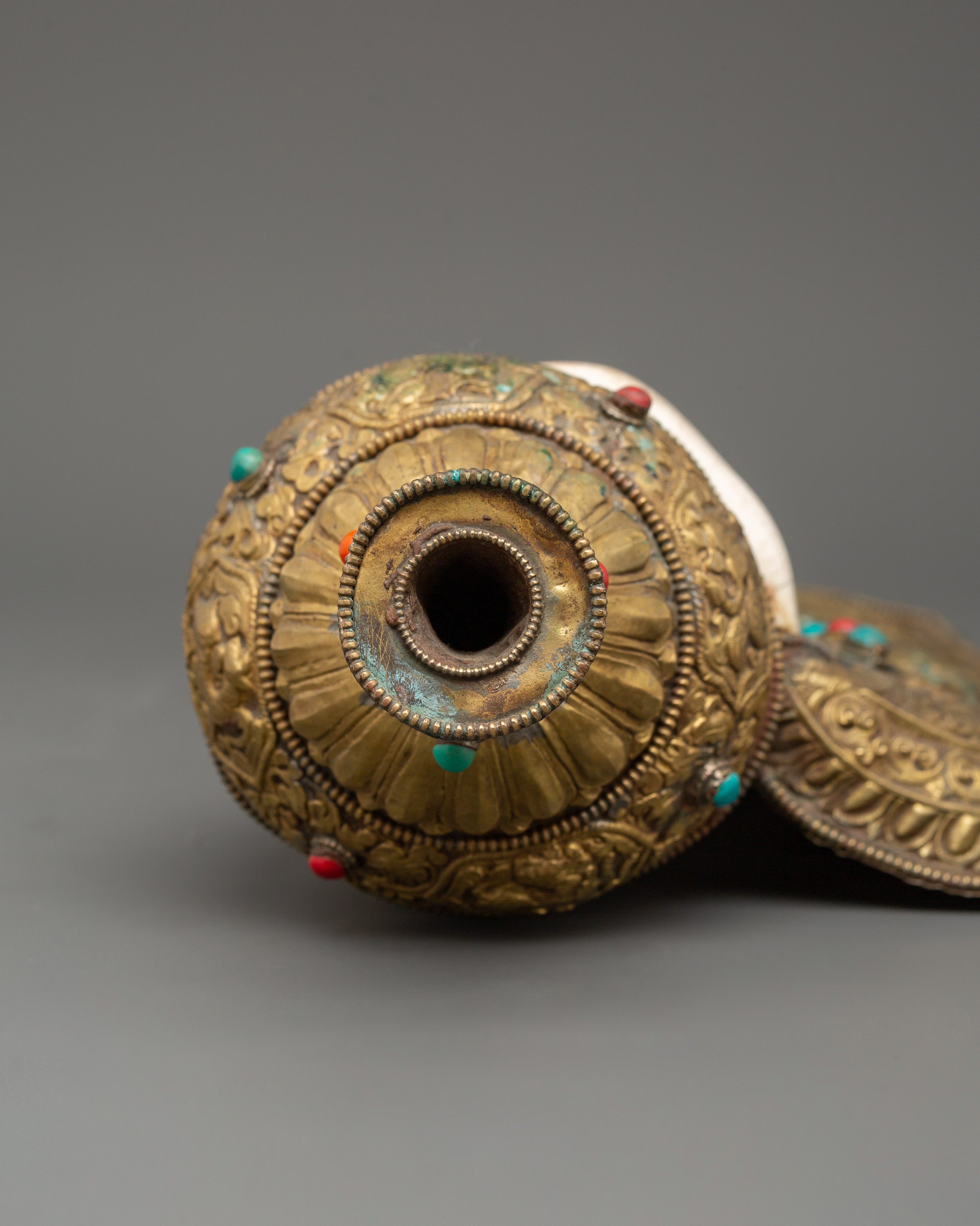 Traditional Ritual Conch | A Sacred Symbol of Dharma