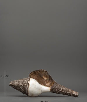 Religious Conch Shell | A Sacred Symbol of Dharma