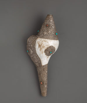 Religious Conch Shell | A Sacred Symbol of Dharma