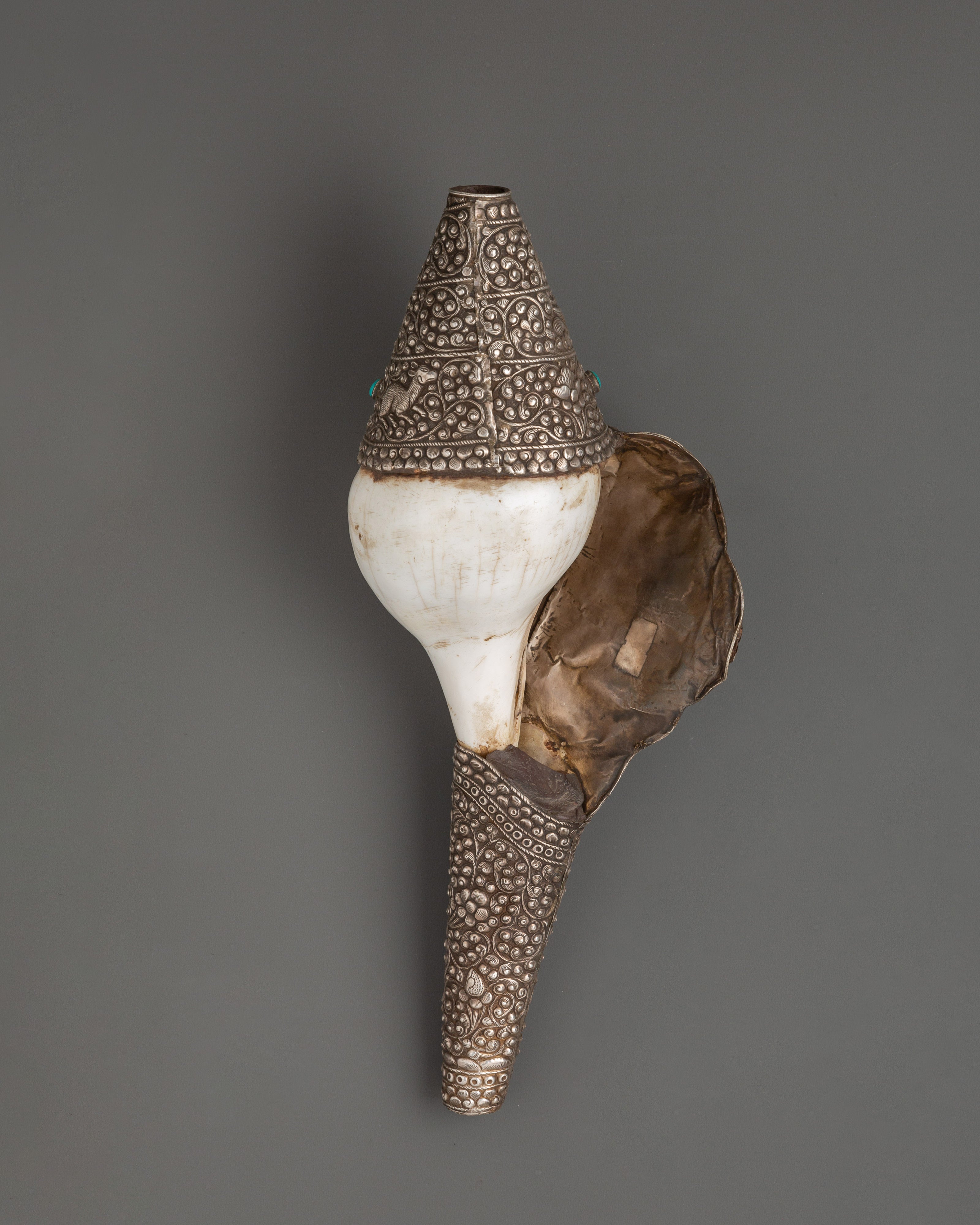 Religious Conch Shell | A Sacred Symbol of Dharma
