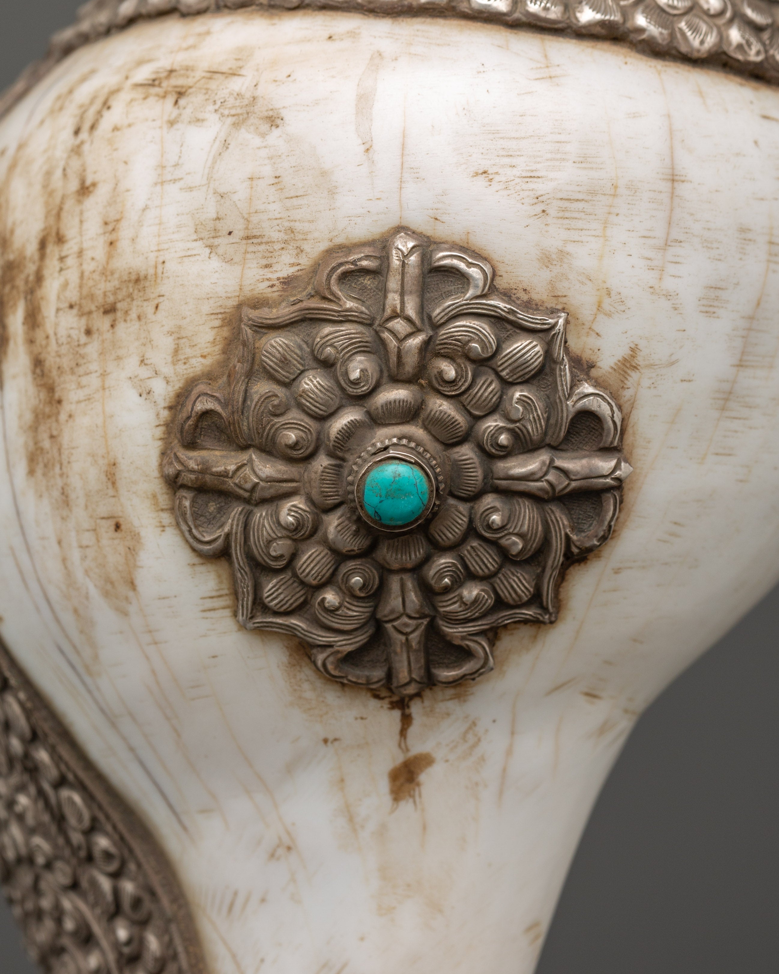 Religious Conch Shell | A Sacred Symbol of Dharma