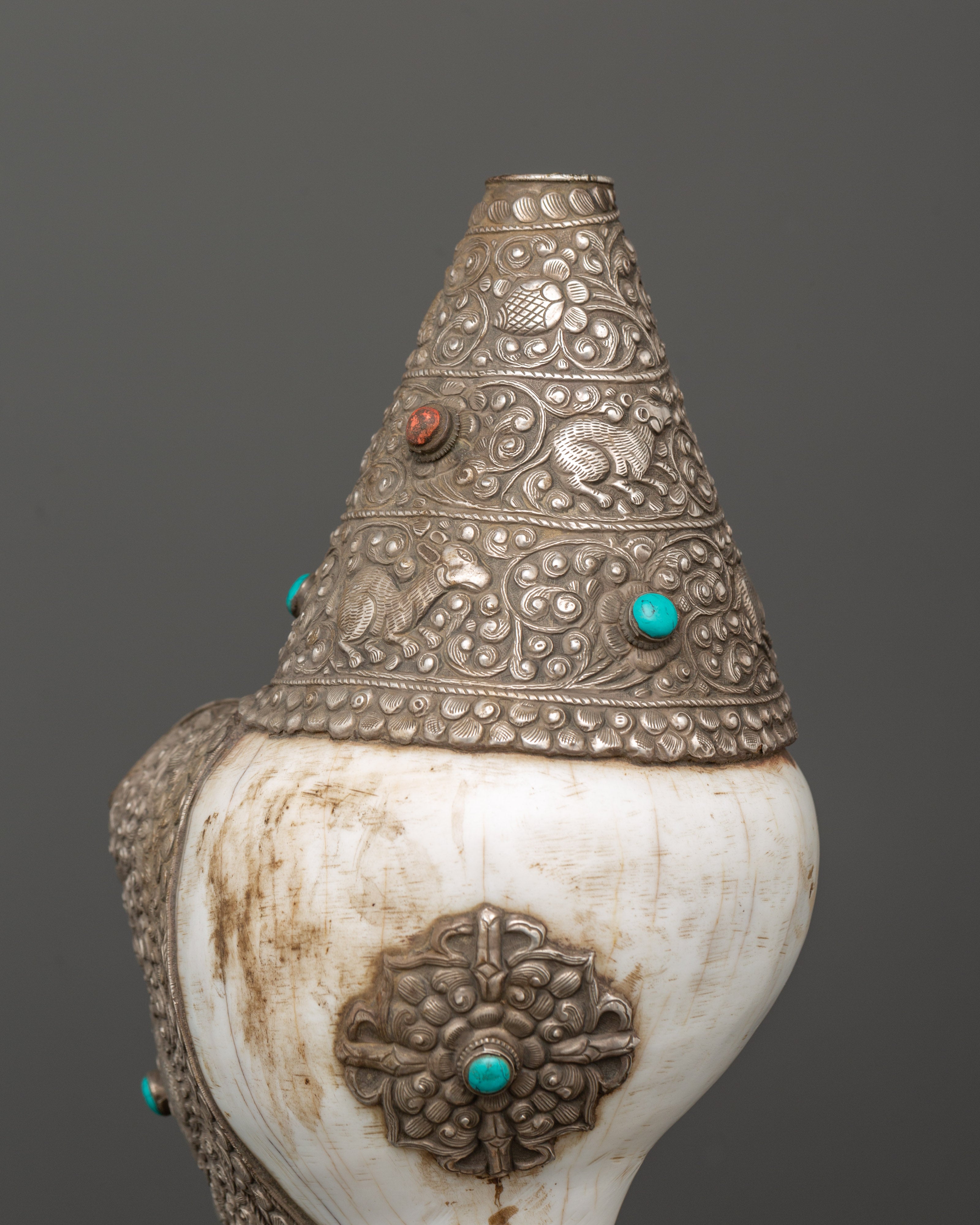 Religious Conch Shell | A Sacred Symbol of Dharma