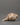 Ganesh Carved Conch Shell for Altar | Handcrafted Conch Shell Ritual Shankha