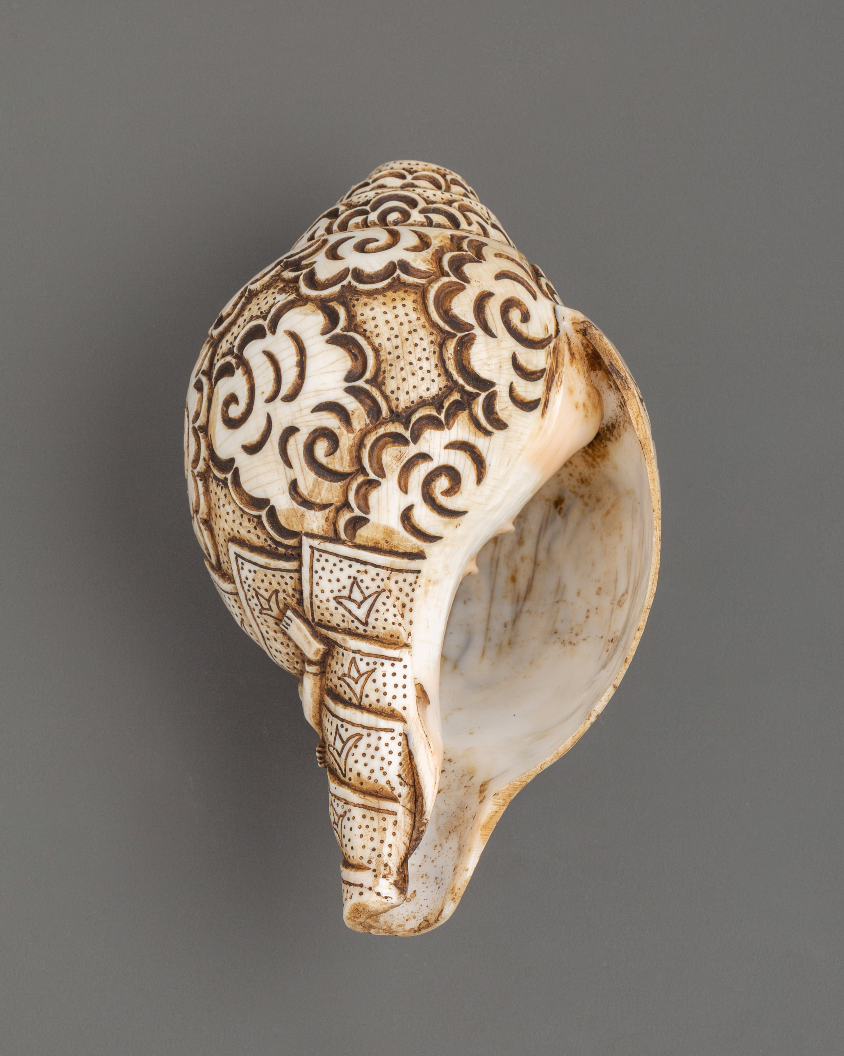 Kali Mata Carved Conch | Spiritual Hindu Pooja Conch
