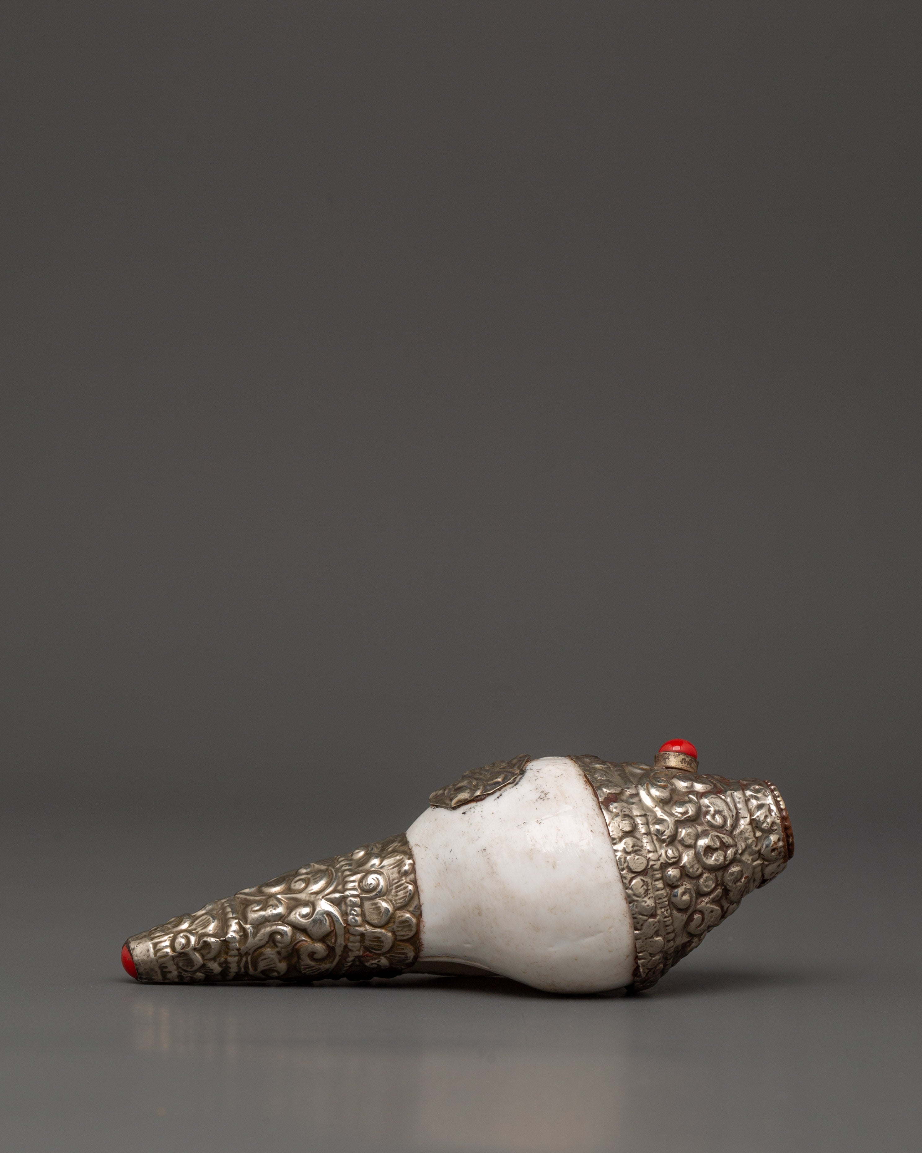 Conch Shell Spiritual Decor | Symbol of Sound and Spirituality